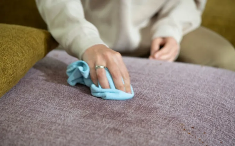 How to Clean a Fabric Sofa (Easy Guide for Home Cleaning)
