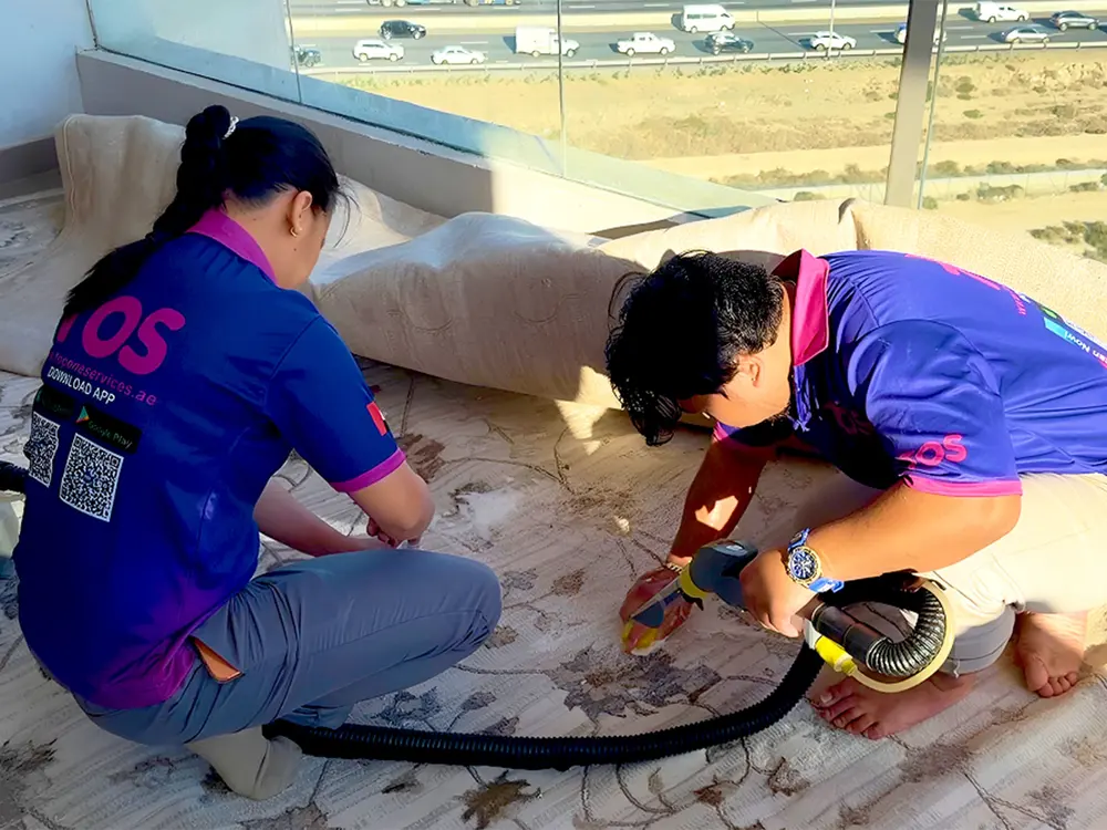TopOne cleaners deep cleaning a rug with a hot water extraction machine